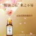 Water Code Rose Compound Essential Oil Plant Aromather Liệu pháp Massage mặt Chăm sóc da Da hương liệu - Tinh dầu điều trị