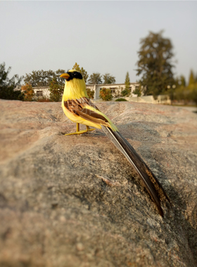 仿真客厅摄影道具装饰品