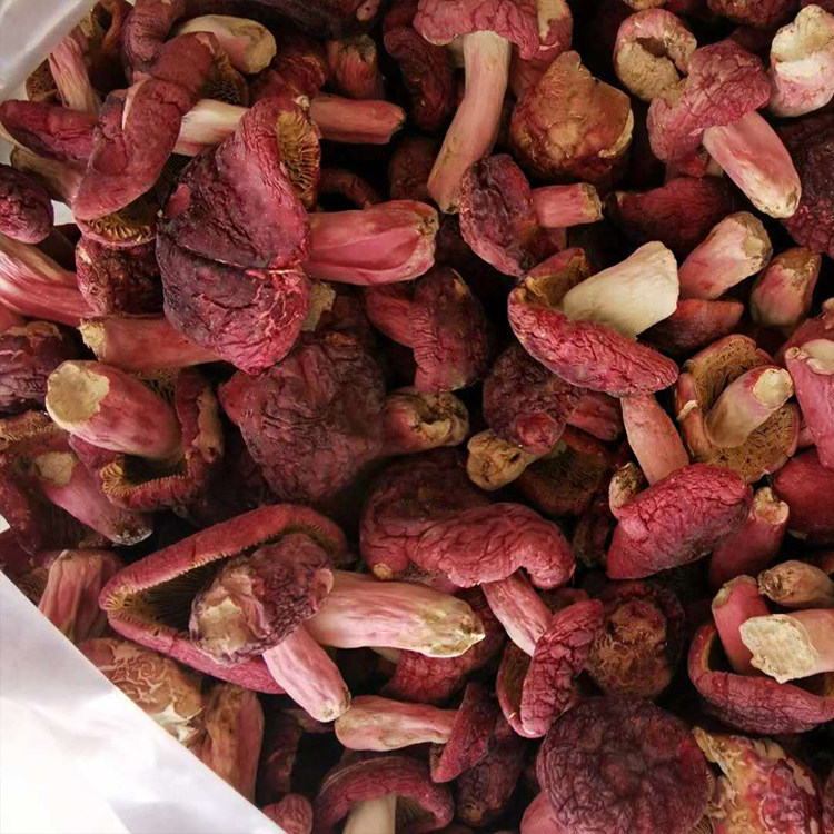 广西浦北土特产红菇正宗野生干货红椎菌红菇红菌 菌菇100克精品
