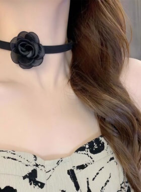 玫瑰花黑色花朵choker锁骨链新款项链女颈带颈链气质礼服装饰配饰