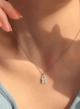 同心锁定情锁项链女款气质高级大气2026年新网红设计感百搭锁骨链