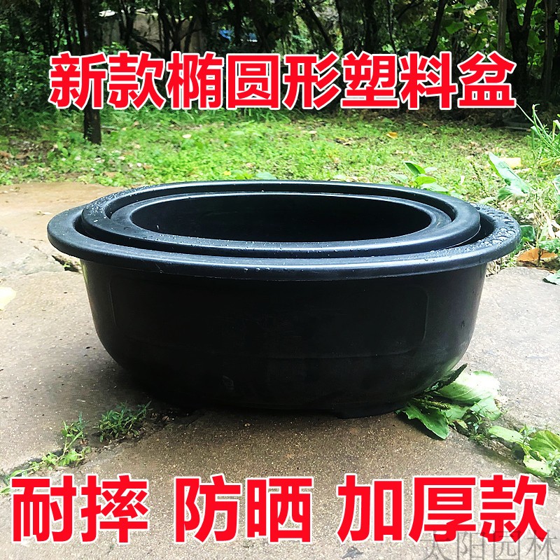 塑料花盆椭圆形阳台盆栽花卉盆加厚款盆景盆特大号落地中国风包邮 - 图0