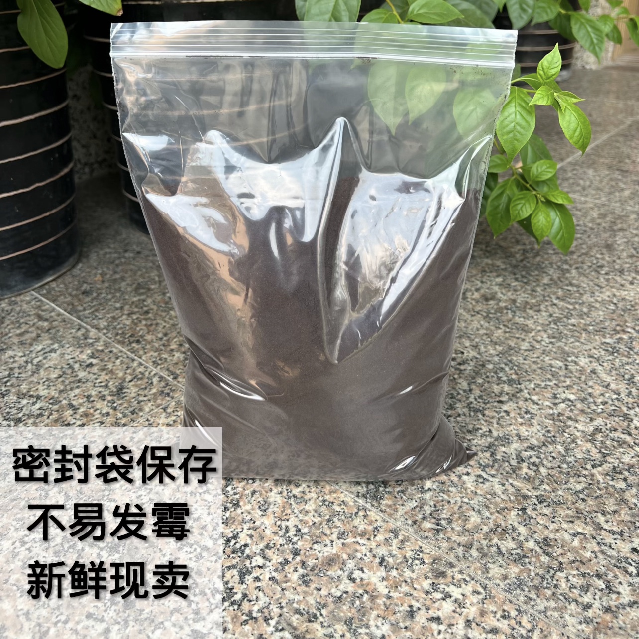 精细干咖啡渣家装除异味去甲醛活性炭烟灰缸灭碳磨砂去角质除臭