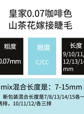 单根种植皇家日系专用山茶花
