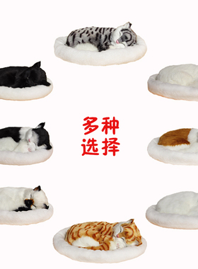 会呼吸的猫仿真猫假猫公仔可爱