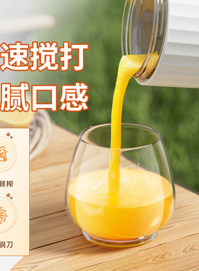 普立昂10叶玻璃榨汁机便捷多功能
