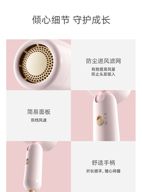志高600W折叠恒温护发速干电吹风