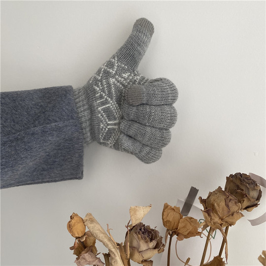 韩国气质温柔ins花纹手套骑车写字触屏手套加绒加厚手套男女可戴