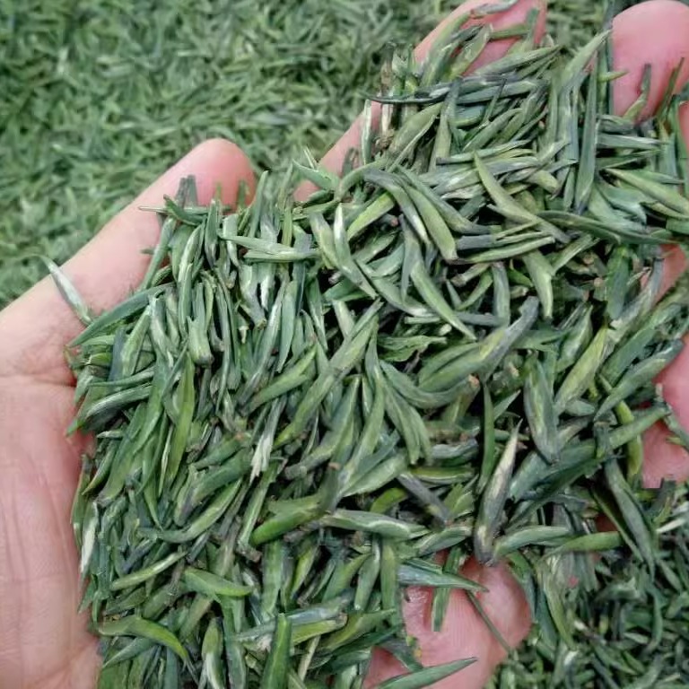 半斤装贵州特级绿茶2024新茶湄潭翠芽雀舌茶叶新茶竹叶茶明前春茶 - 图0