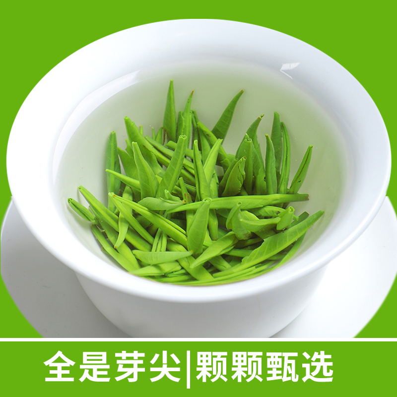 2024年新茶贵州绿茶100克明前清针特级茶叶清香雀舌湄潭翠芽独芽 - 图0