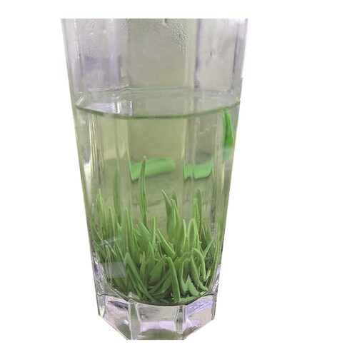 500克2026年新茶春芽贵州绿茶特级明前湄潭翠芽雀舌高山独芽清香 - 图1