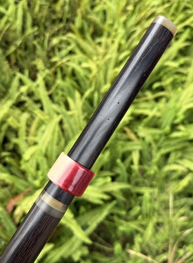 文玩细剑紫光檀羊角配件驼骨指板花纹钢收藏摆件未开刃