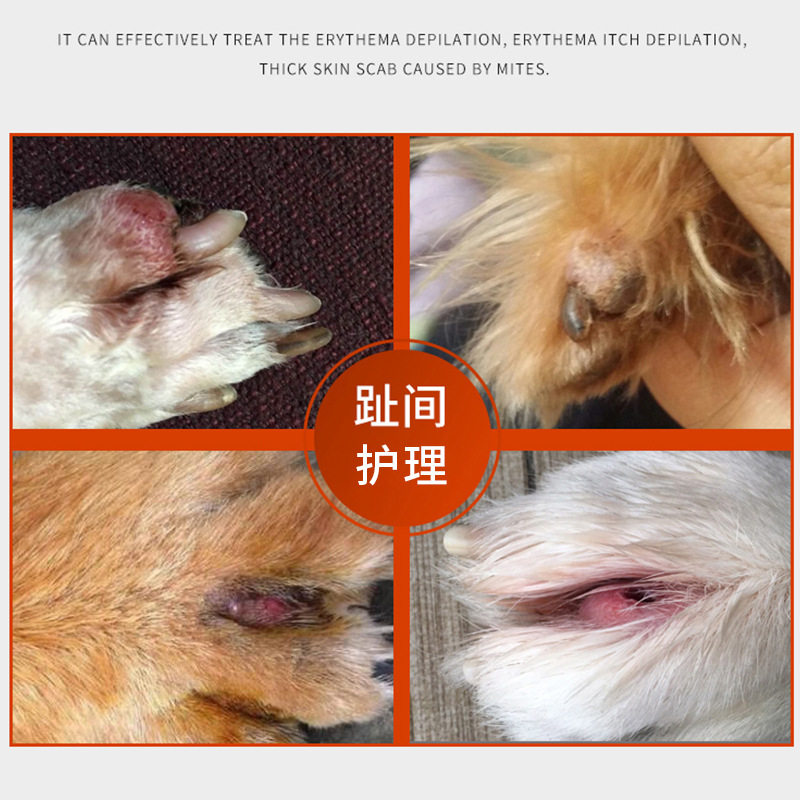 宠哥弟新包装菌趾康抑菌喷剂100ml趾间护理喷剂猫狗宠物皮肤保健,淘宝优惠券,粉丝福利购,淘宝优惠卷