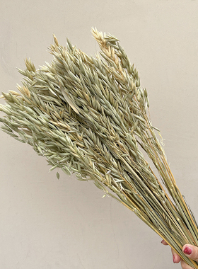 天然燕麦干花束文艺DIY材料包