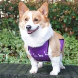 Дудоу, водонепроницаемый дождевик, бандаж пупочный, подходит для подростков, анти-грязь