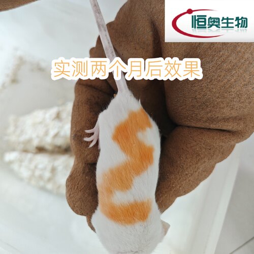 小鼠记号笔大鼠标记笔实验动物标记笔染色耳标笔进口AnimalMarker - 图2