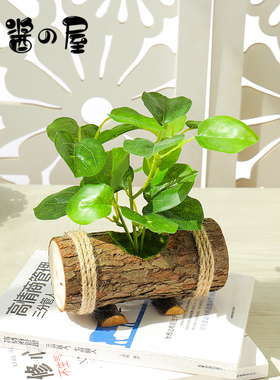 北欧假客厅桌面小摆件仿真植物