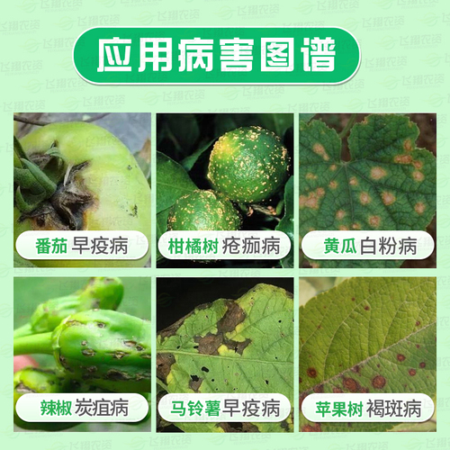 德国拜耳拿敌稳肟菌酯戊唑醇葡萄草莓月季白粉病叶斑病农药杀菌剂