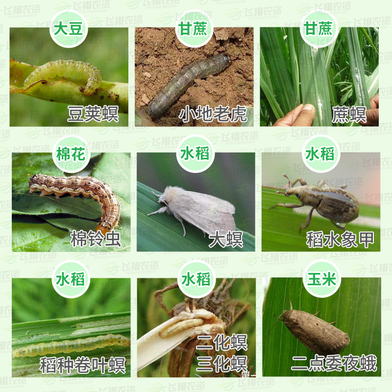 美国杜邦康宽富美实氯虫苯甲酰胺水稻蔬菜钻心虫卷叶螟农药杀虫剂,淘宝优惠券,粉丝福利购,淘宝优惠卷
