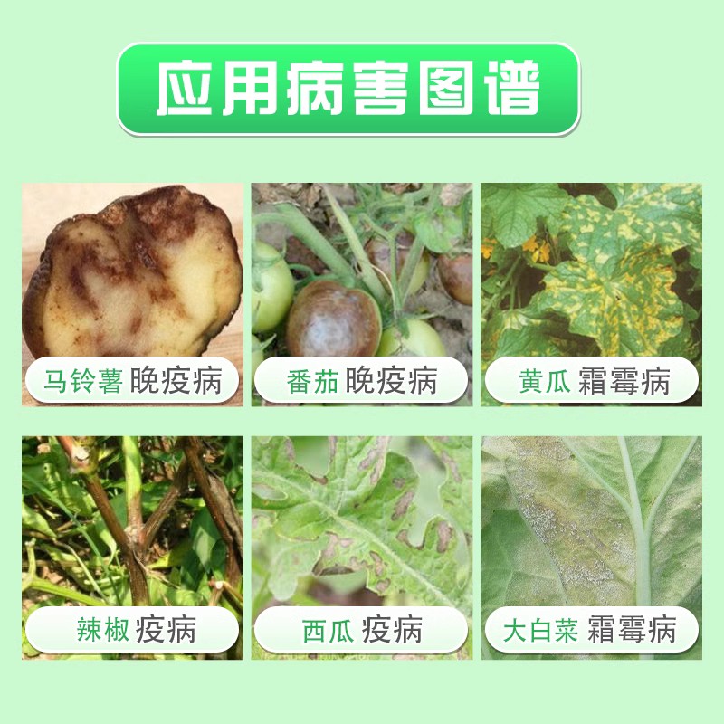 德国拜耳 银法利 霜霉威氟吡菌胺葡萄蔬菜霜霉病晚疫病农药杀菌剂 - 图0