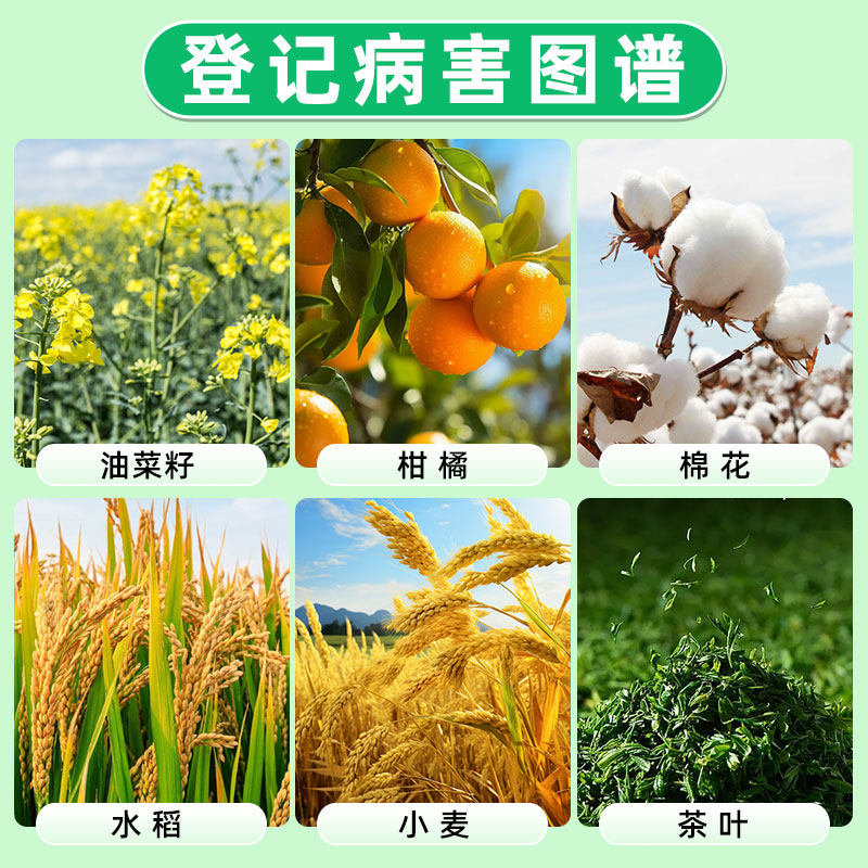 龙灯优多锌硼肥氨基酸肥柑橘水稻保护促花促果壮果增产水溶叶面肥,淘宝优惠券,粉丝福利购,淘宝优惠卷