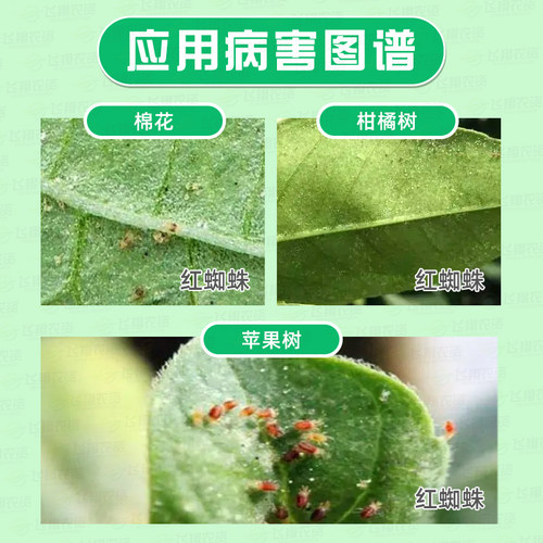 英国高文螨危24%螺螨酯柑橘月季果树杀螨剂红蜘蛛茶黄螨农药100ml - 图0