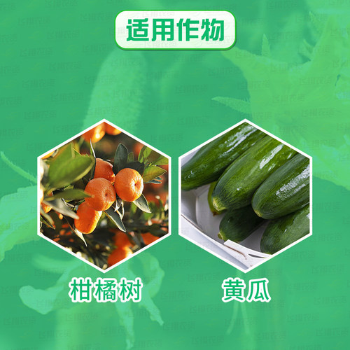 净果精33.5%喹啉铜 柑橘溃疡病黄龙病黄瓜角斑病霜霉病农药杀菌剂 - 图0