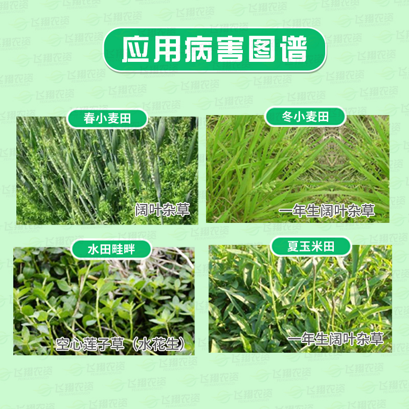 绿霸塔隆 20%氯氟吡氧乙酸猪殃殃水花生莲子草阔叶杂草农药除草剂 - 图0