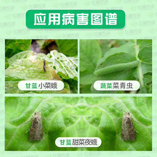 京博 傲敌16%虫肼茚虫威甘蓝甜菜夜蛾小菜蛾菜青虫农药杀虫剂25ml - 图0