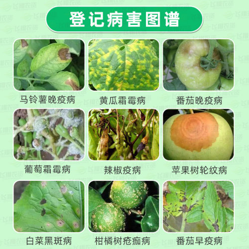 科迪华杜邦增威赢绿+易保晚疫病霜霉病疫病农药杀菌剂30ml易灵 - 图1