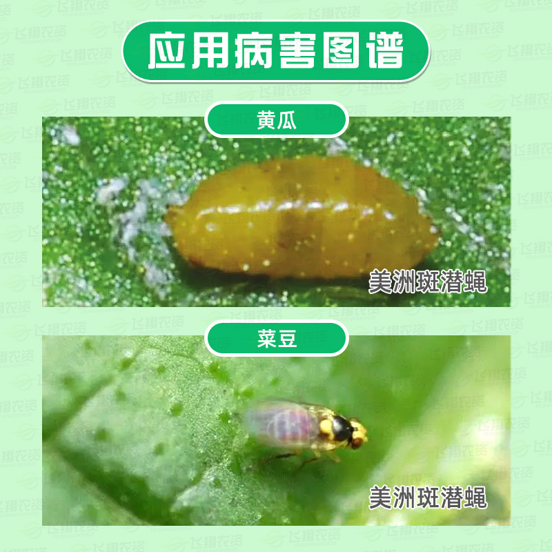 沪联战赢阿维杀虫单+灭蝇胺美洲斑潜蝇地图虫鬼画符套装杀虫剂40g - 图0