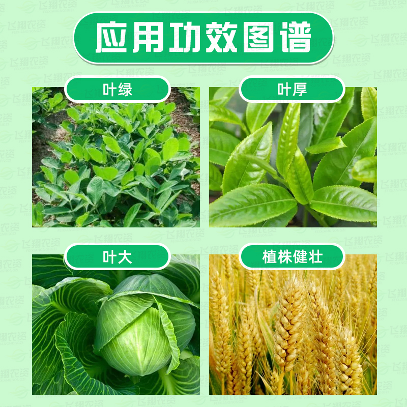 国光黄叶必治氨基酸微量元素铁锌硼肥小叶黄叶缺素叶绿素叶面肥,淘宝优惠券,粉丝福利购,淘宝优惠卷