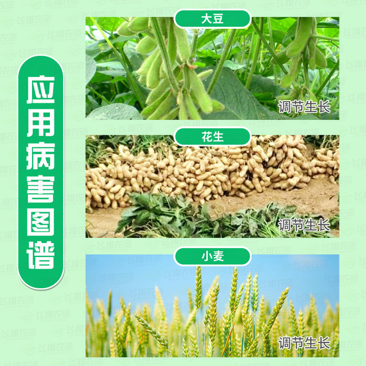 国光矮丰 10%多效唑 甲哌鎓多肉花卉控旺控徒长增产调节剂25g - 图0