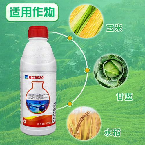 中化双工9080四氯虫酰胺甜菜夜蛾甜菜夜蛾玉米螟稻纵卷叶螟杀虫剂 - 图1