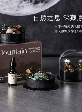 西苔旷野秘境无火香薰精油扩香石家用高级感摆件香氛生日伴手礼盒