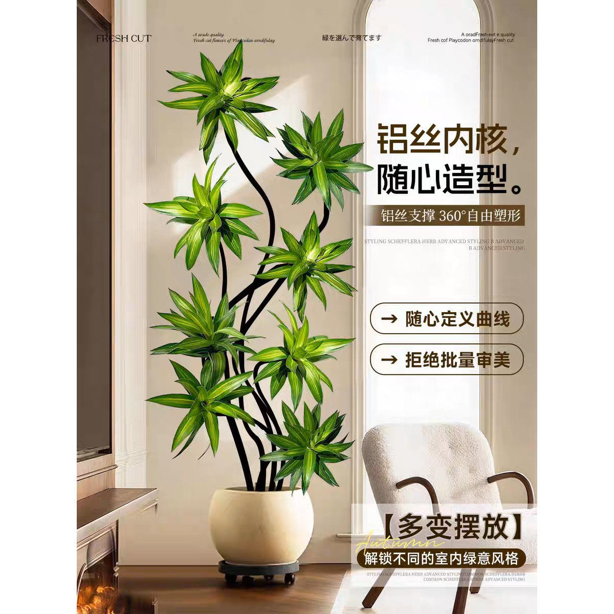 金心百合竹客厅绿植室内懒人好养真植物高级老桩龙血树精品大盆栽,淘宝优惠券,粉丝福利购,淘宝优惠卷