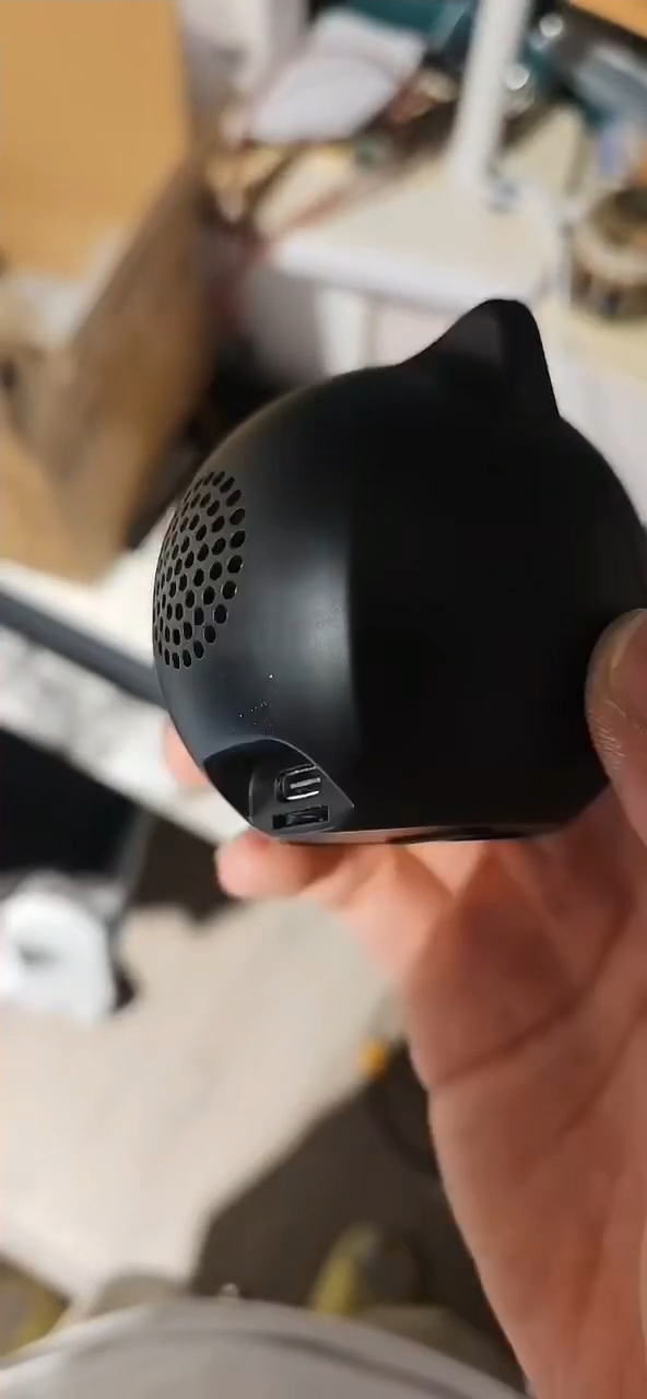 乐鑫喵伴魔改AI智能体智能陪伴WIFI联网AI对话内置大模型AI学习 - 图2