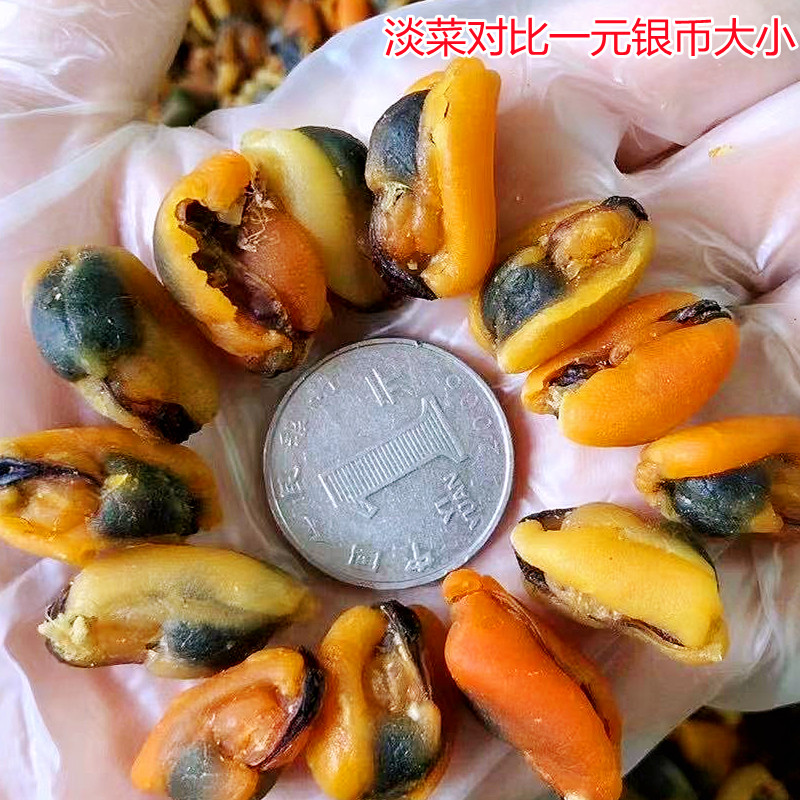 大淡菜干 新鲜当季青口海虹干产地直邮煲汤煲粥鲜美阳江海产干货 - 图2