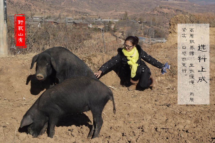 云南特产丽江腊排骨 正宗农家土猪直排火锅腊肉排骨 非烟熏风干 - 图2