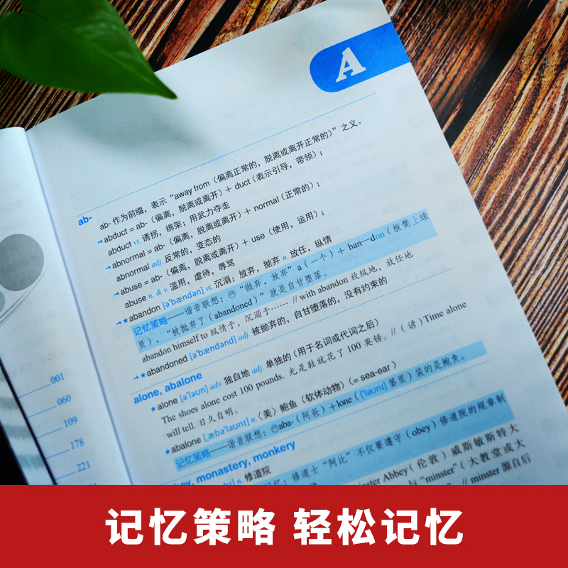 全2册 英语单词记背神器用美国人方法背单词单词密码词根词缀单词英语单词速记法思维导图英语速记单词四六级考研gre雅思托福 忆美时尚