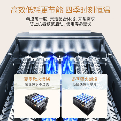 林内壁挂炉零冷水天然气家用锅炉地暖采暖炉C66L - 图2
