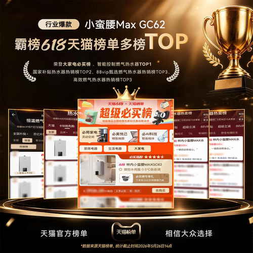 [小蛮腰MAX水伺服]林内燃气热水器GC62家用天然气13/16/20升恒温 - 图0