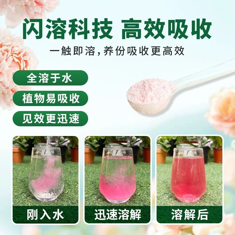 快速开花粉三角梅催花素茶花茉莉盆栽通用型园艺养花家用开花肥料,淘宝优惠券,粉丝福利购,淘宝优惠卷