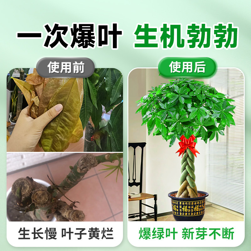 发财树专用肥专用营养液肥料稀释绿植植物室内盆栽家用通用型液体,淘宝优惠券,粉丝福利购,淘宝优惠卷