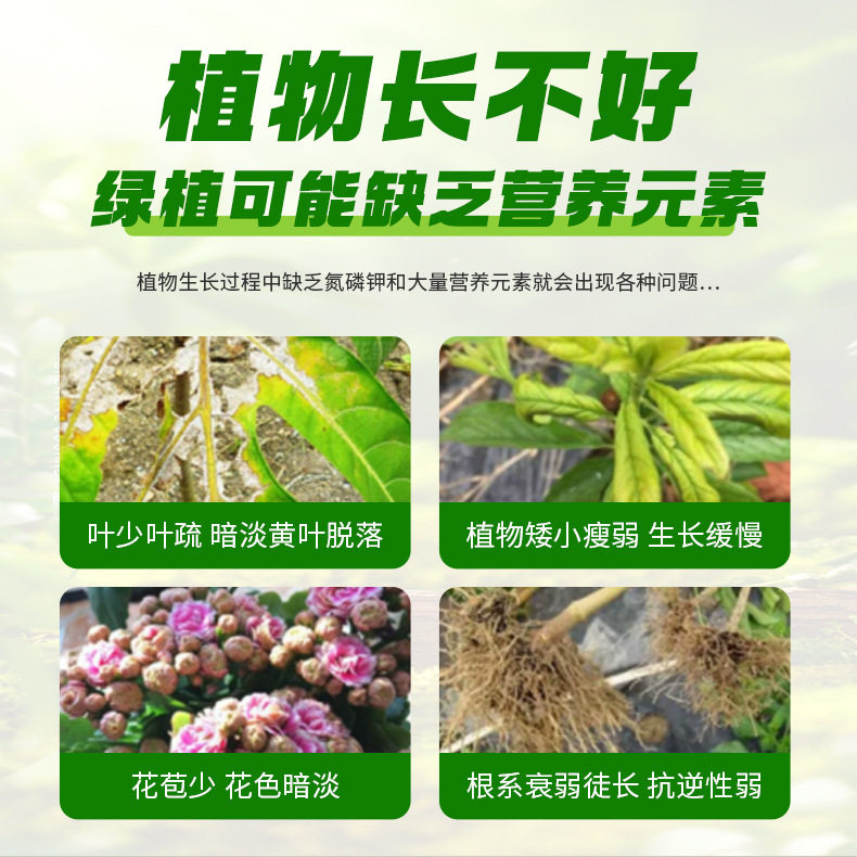 快速开花粉三角梅催花素茶花茉莉盆栽通用型园艺养花家用开花肥料,淘宝优惠券,粉丝福利购,淘宝优惠卷