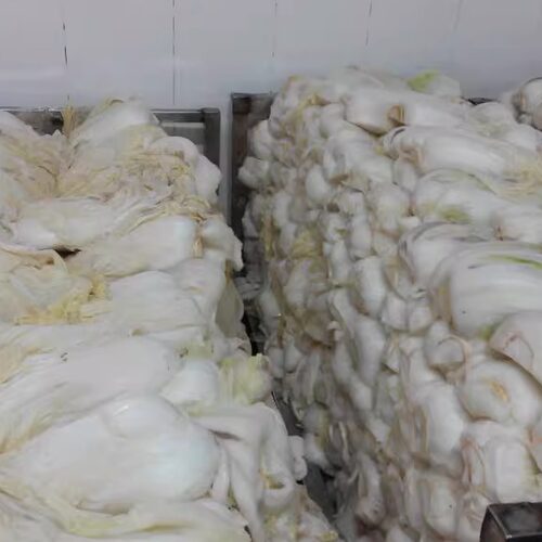 20斤装韩国辣白菜泡菜下饭菜，手工精制，正宗口味，商用更实惠 - 图2