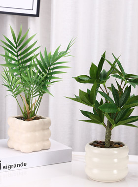 奶油风陶瓷盆仿真绿植发财树
