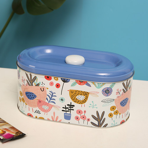 桌面收纳盒客厅茶几办公室零食饼干糖果储物箱精致盒子小铁盒带盖 - 图0