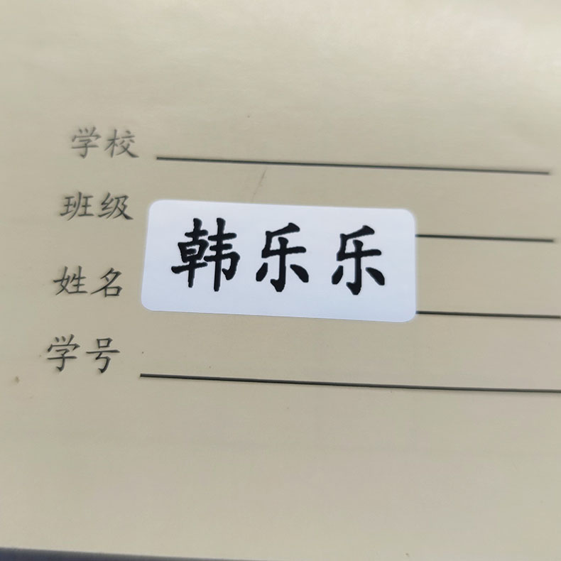 幼儿园宝宝名字贴贴纸儿童入园防水名字贴白底肖银色名字条-图2