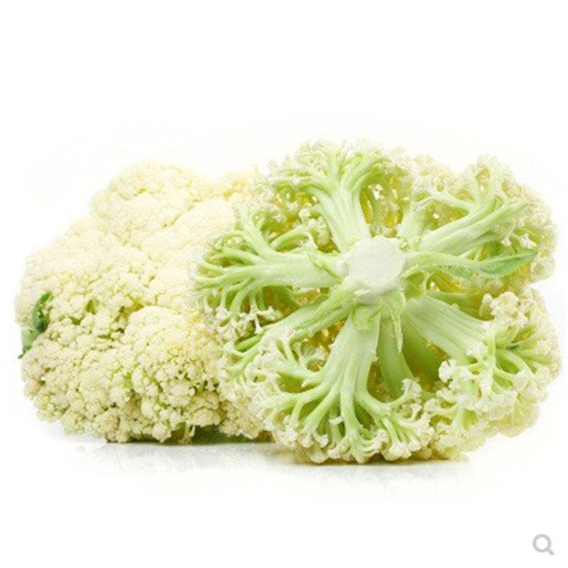 91 免费视频在线 免费视频在线下载安装版V